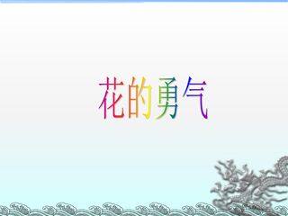 花的勇气_课件4