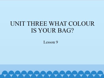 UNIT THREE WHAT COLOUR IS YOUR BAG?-Lesson 9_课件1