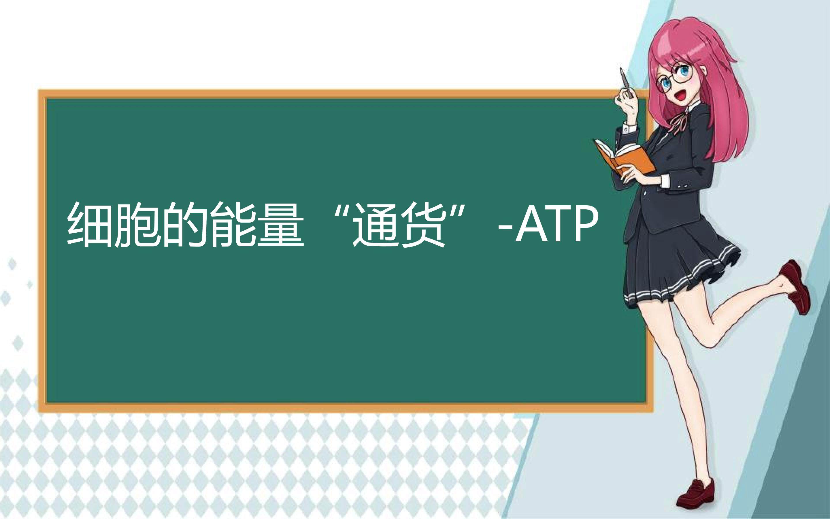 细胞的能量