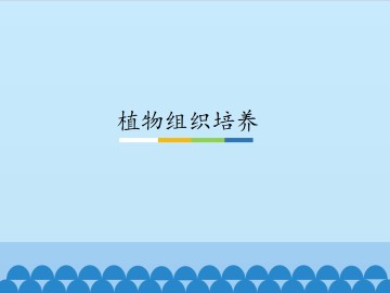植物组织培养_课件1