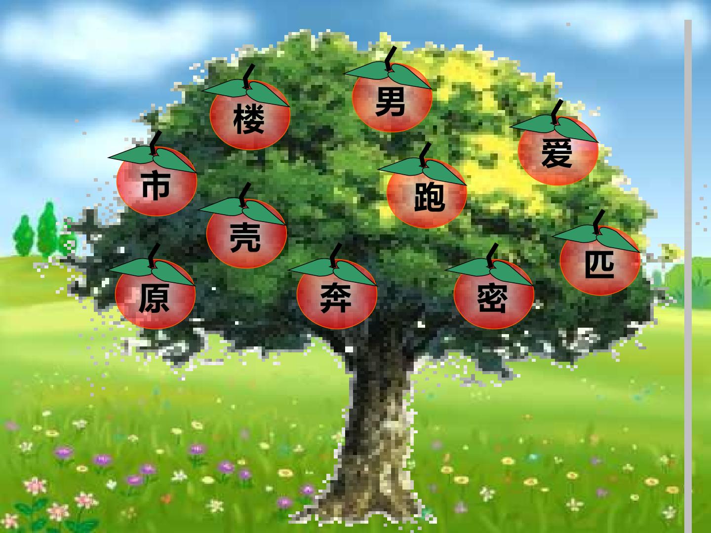 13.jpg