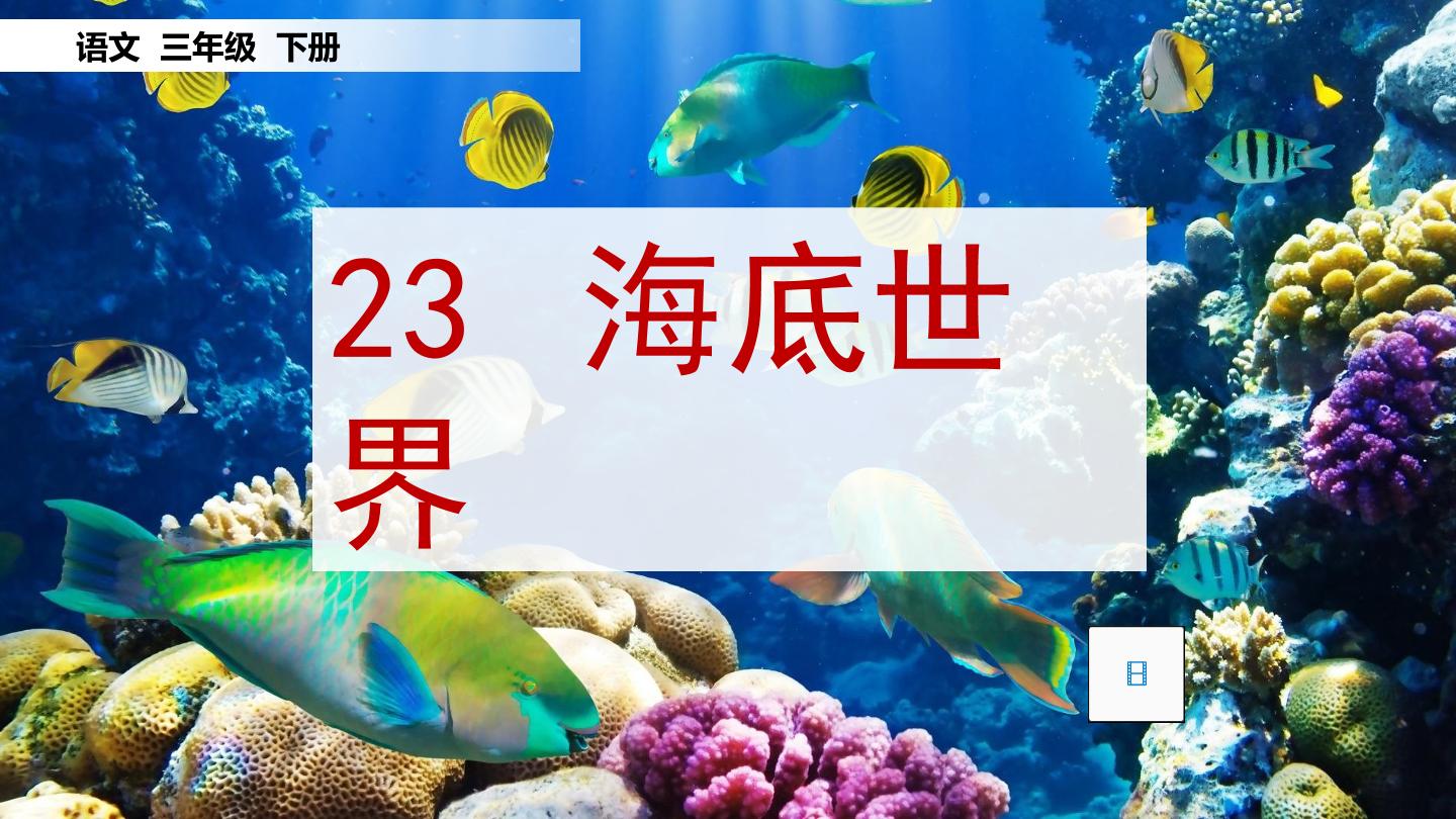 海底世界