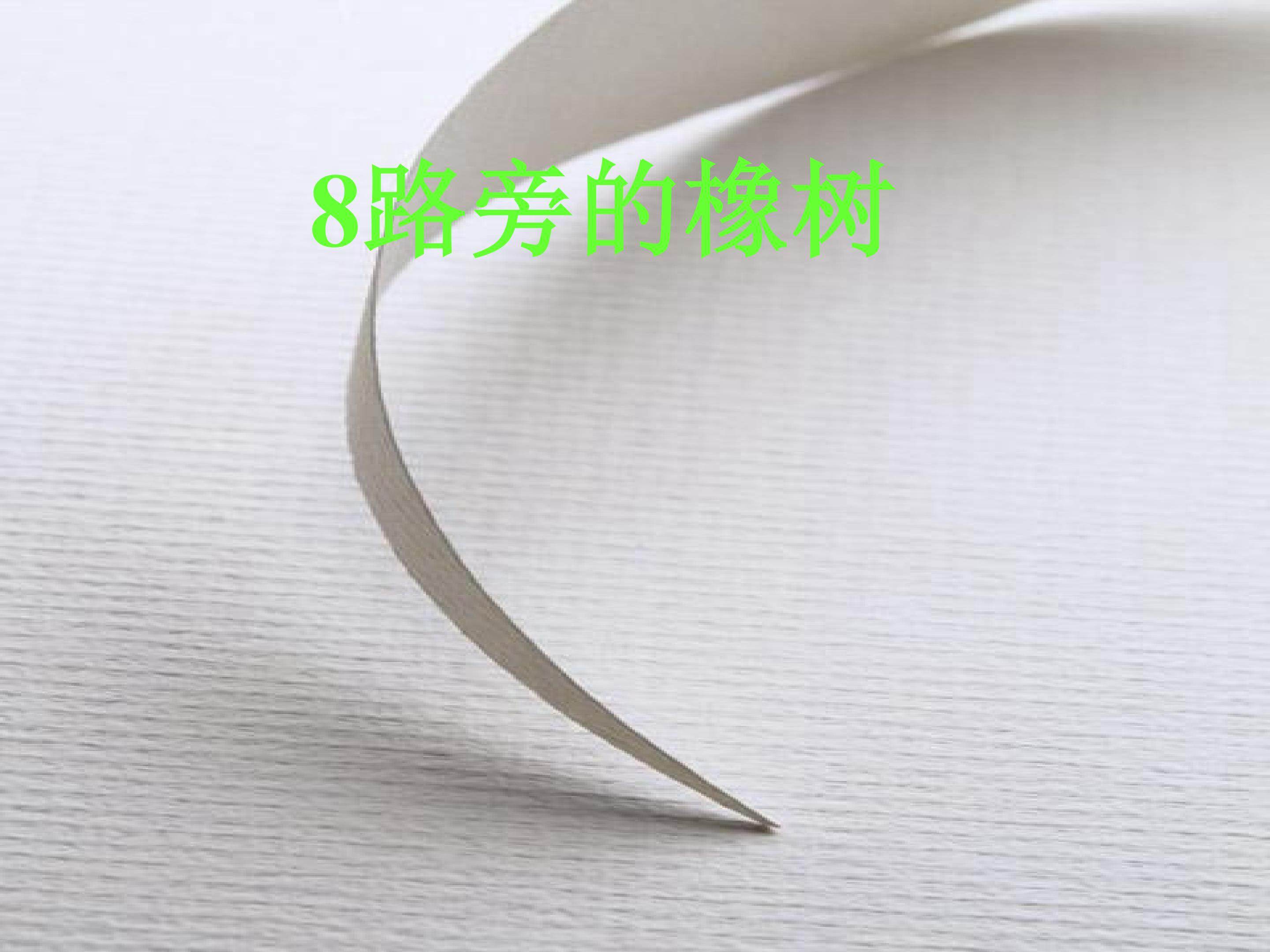 路旁的橡树