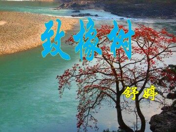 致橡树_课件1
