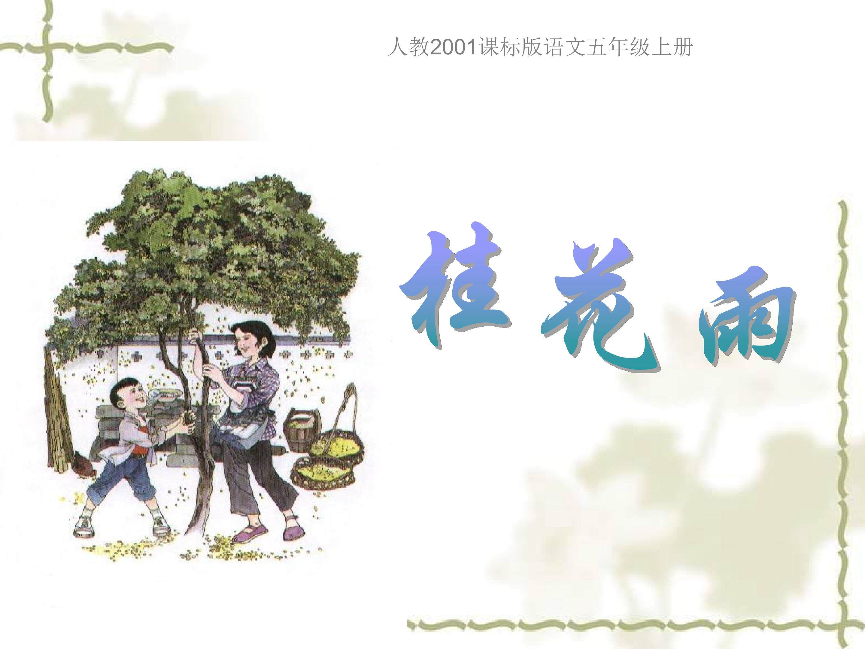 《桂花雨》