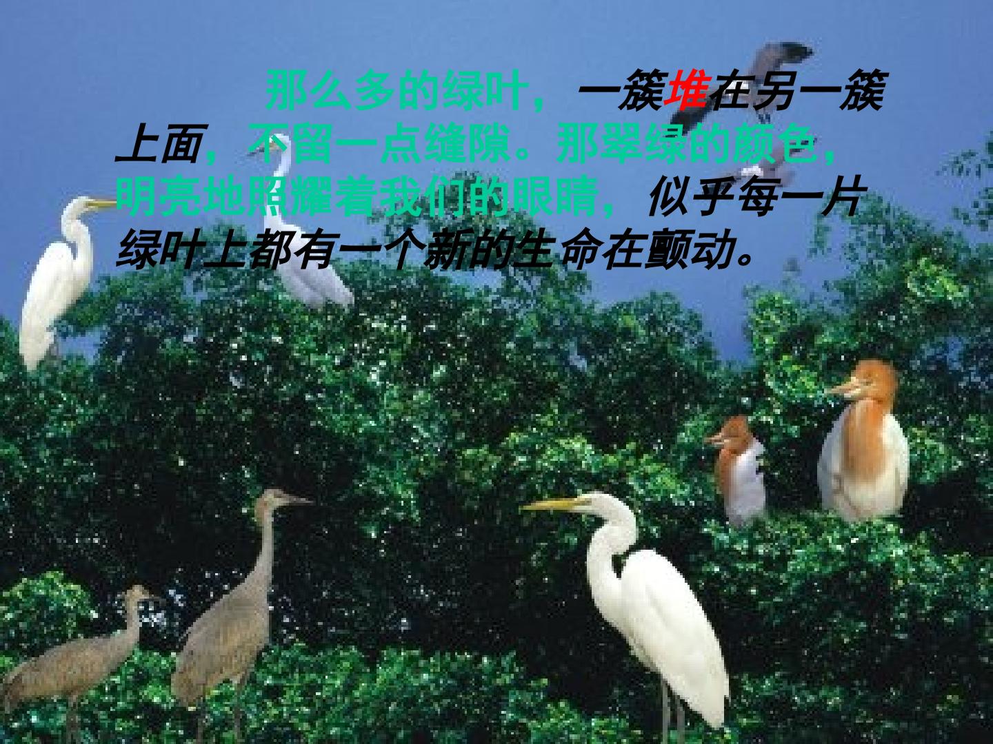 15.jpg
