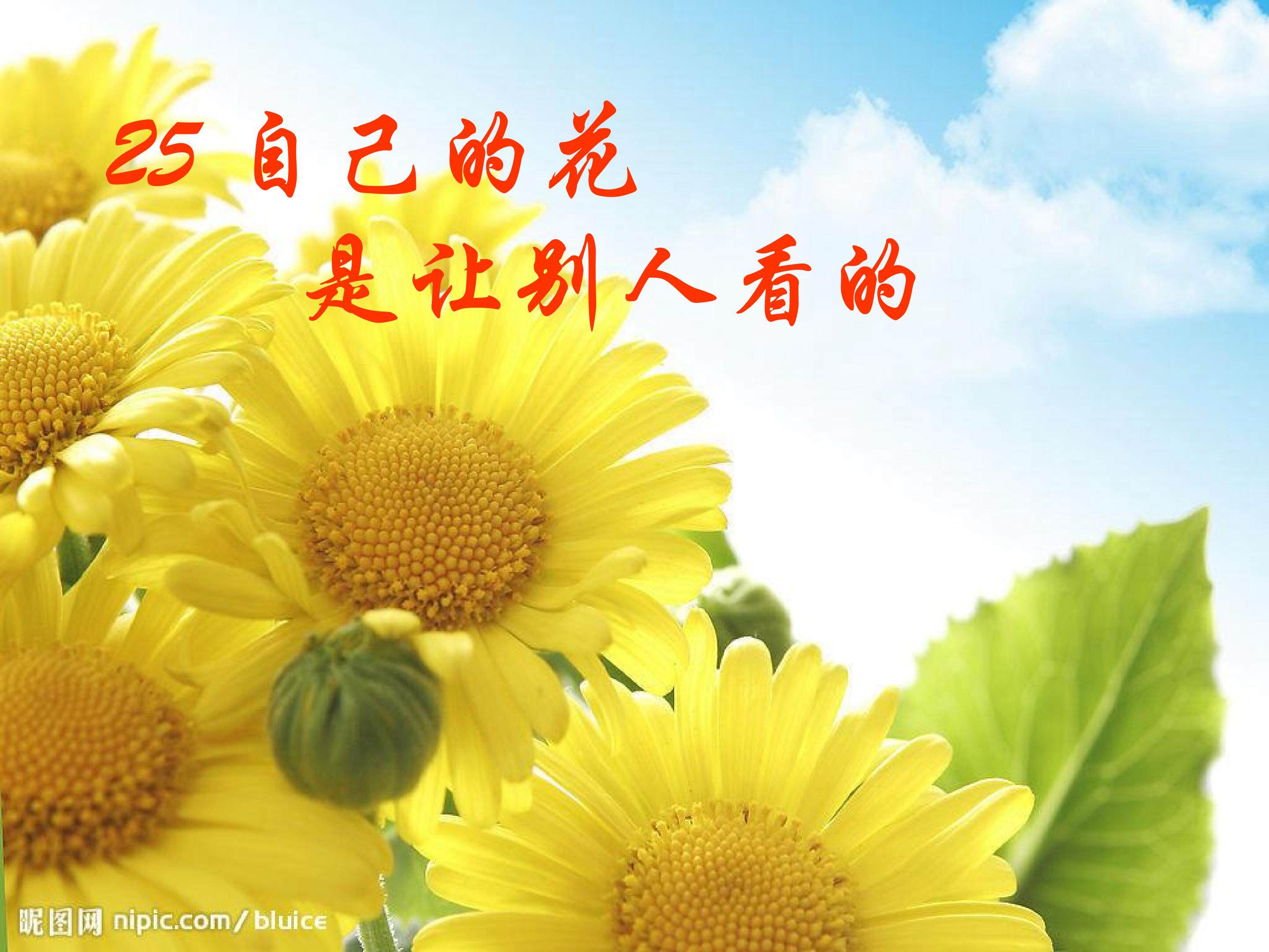 《自己的花是让别人看的》