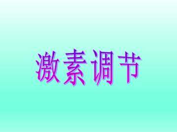 激素调节_课件4