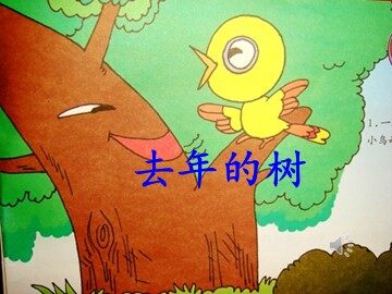 11去年的树