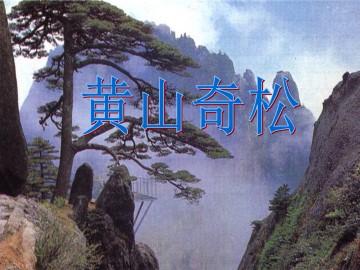 黄山奇松_课件1