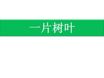 一片树叶_课件1