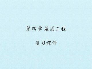 第四章 基因工程 复习课件