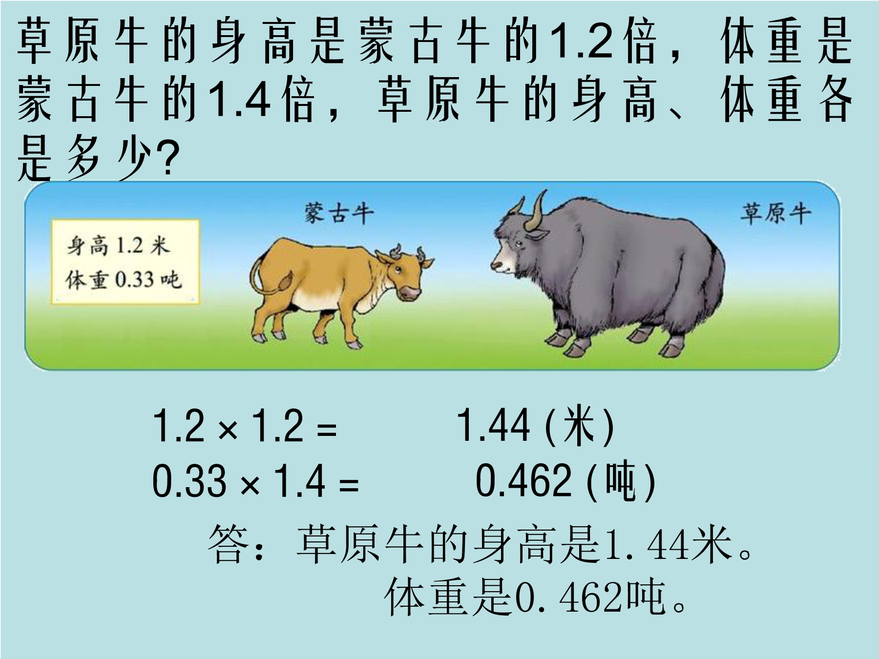 19.jpg
