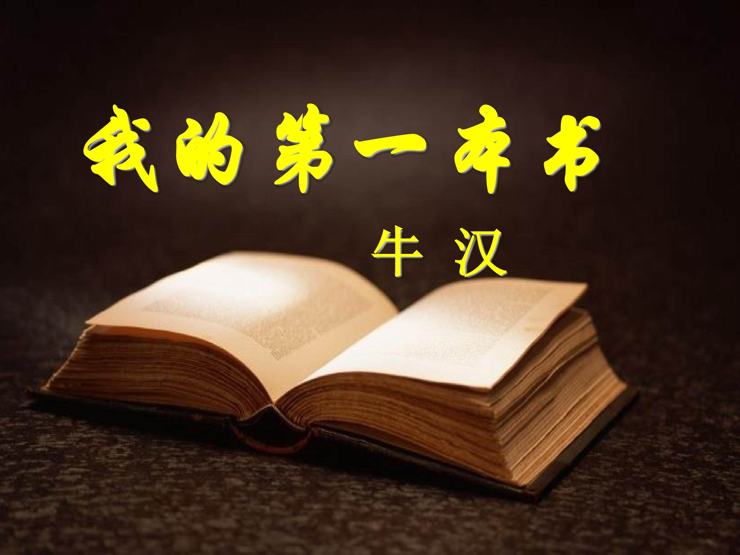 我的第一本书