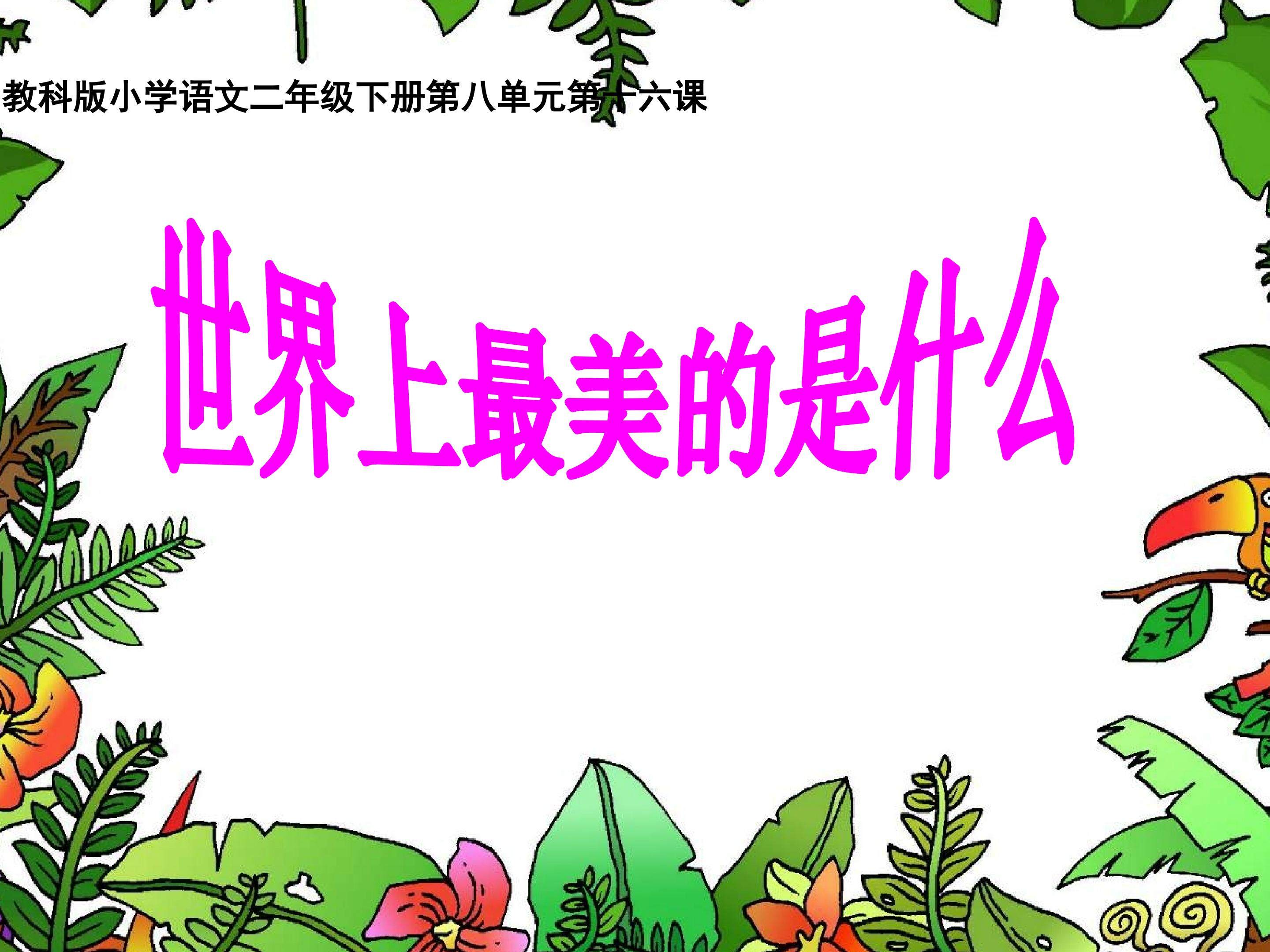 世界上最美的是什么