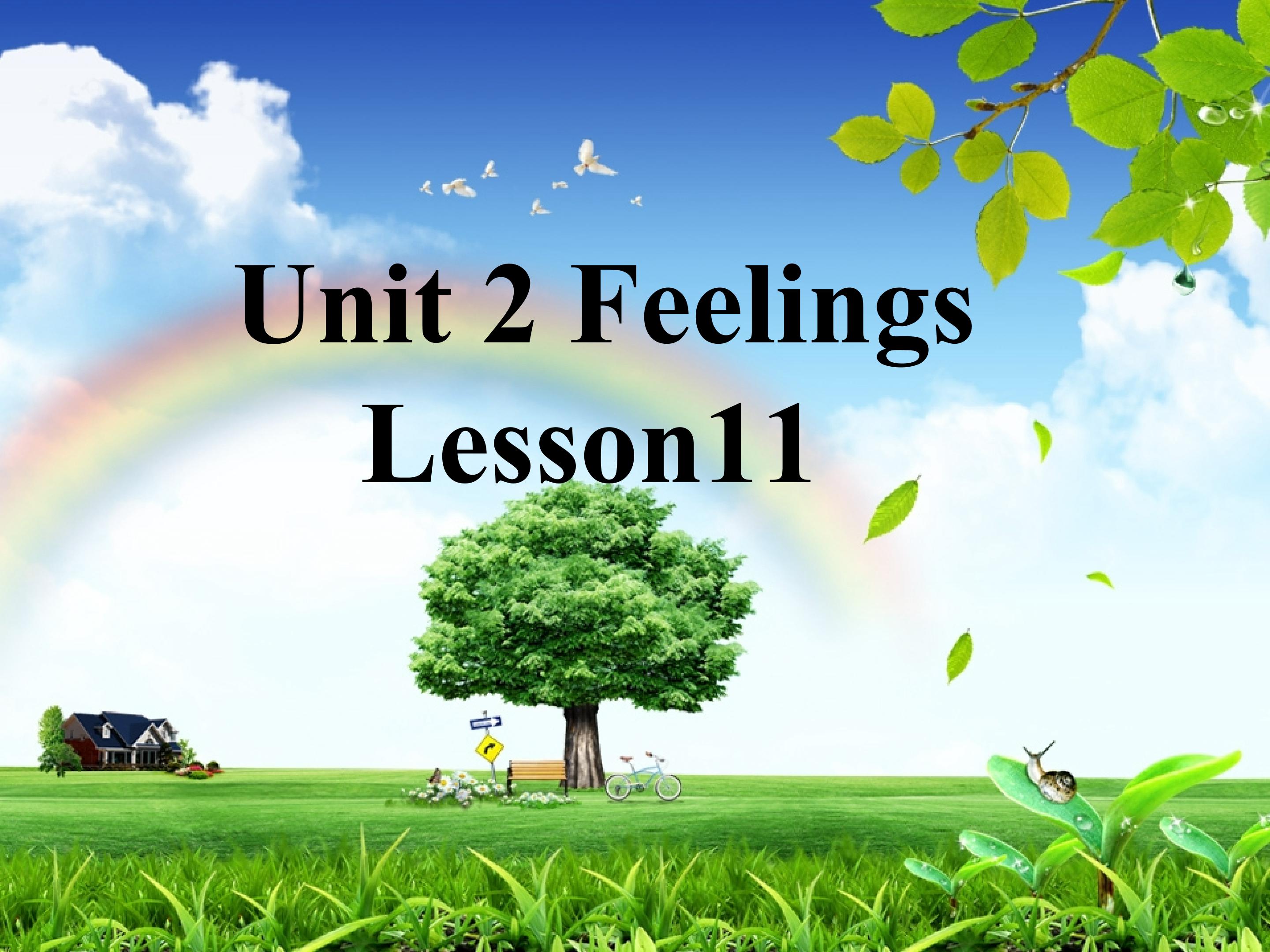 Unit 2 Feelings Lesson 11