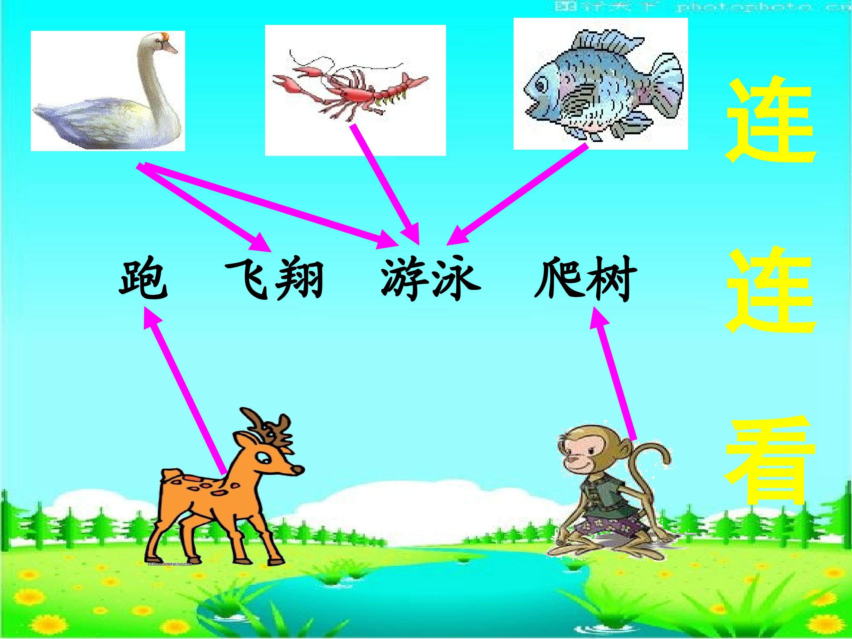 比本领
