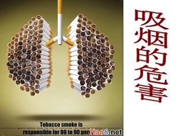 第五课  吸烟和饮酒的危害