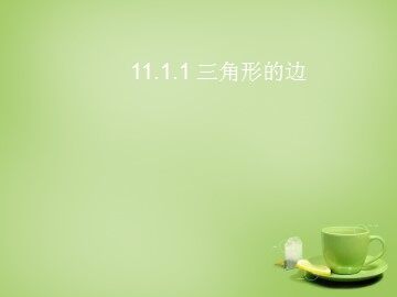 11.1.1三角形的边