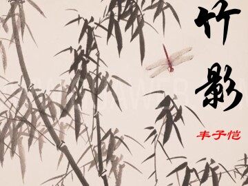 竹影_课件20