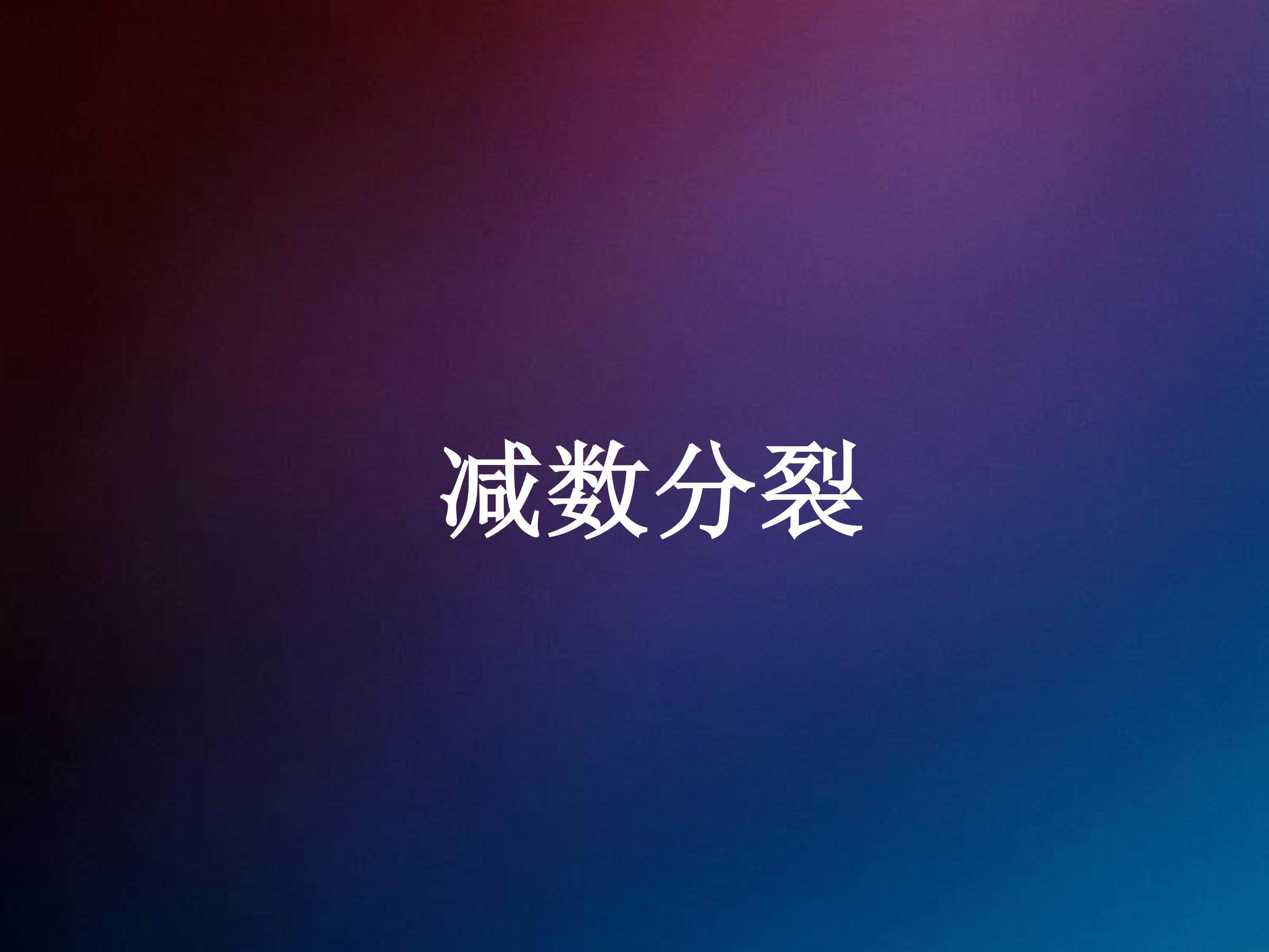 减数分裂_课件1