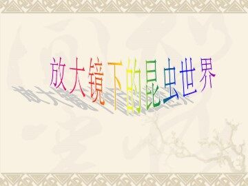 《放大镜下的昆虫世界》(2)