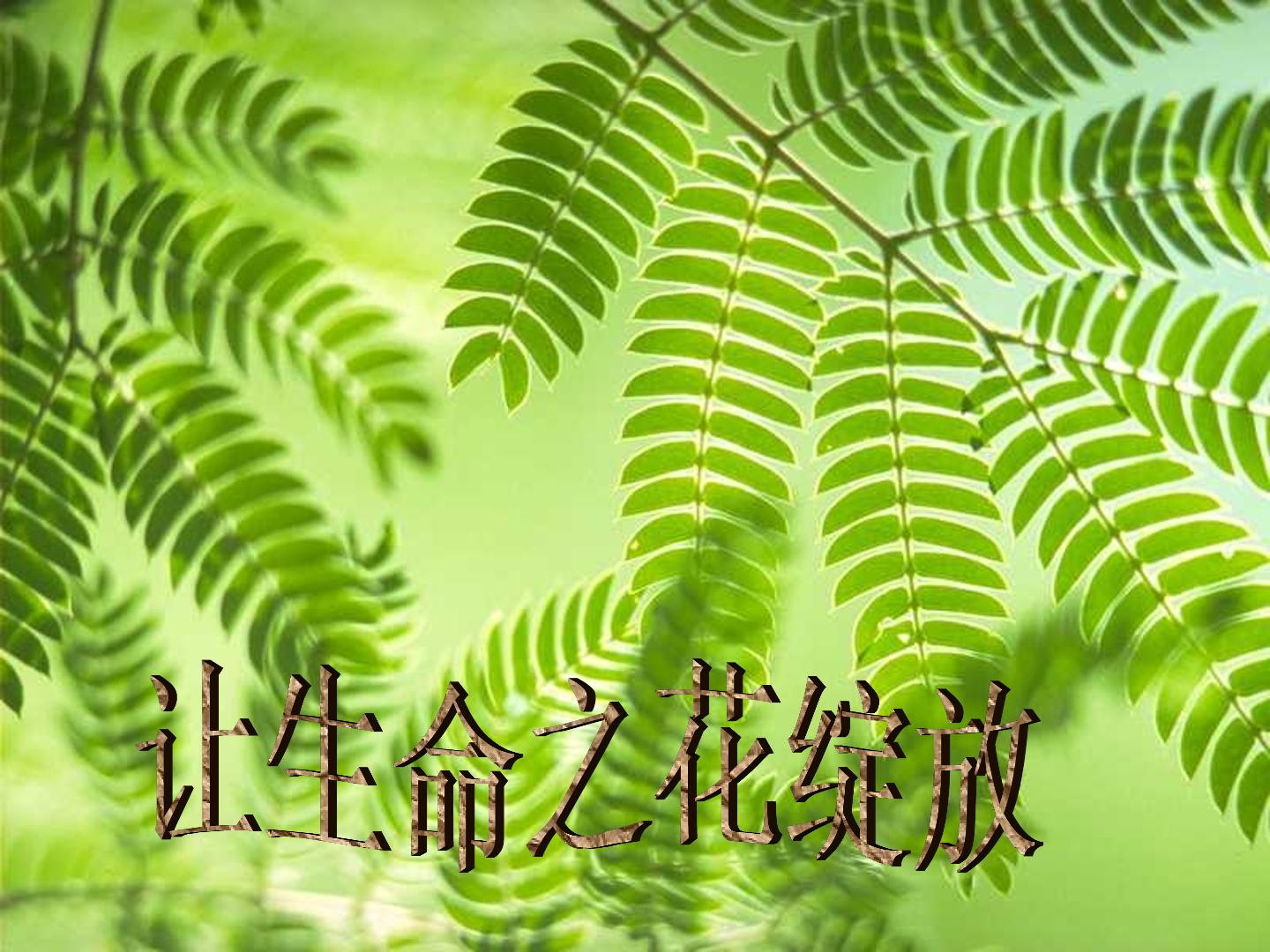 思想品德七年级上册第二单元第三课第三框的教学课件