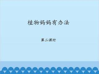 植物妈妈有办法-第二课时_课件1