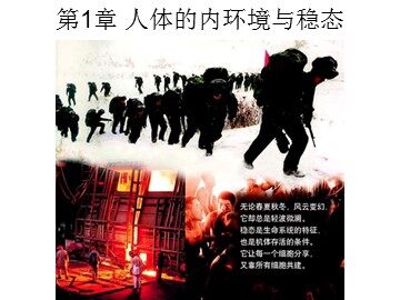 生物高中必修3第一章课件1