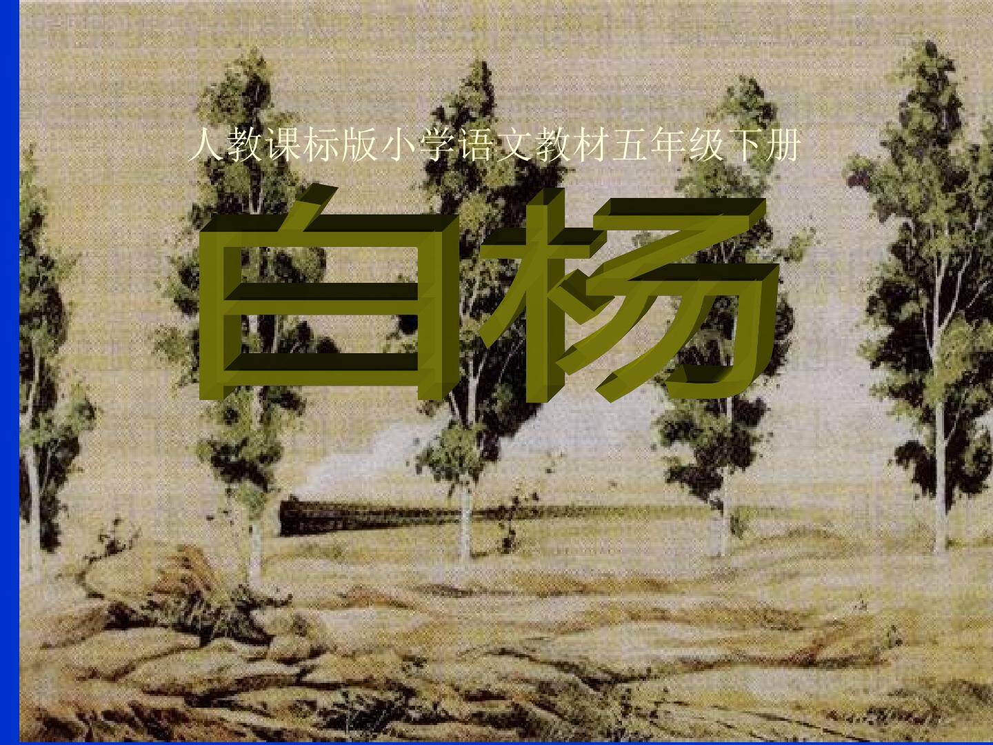 《白杨》课件
