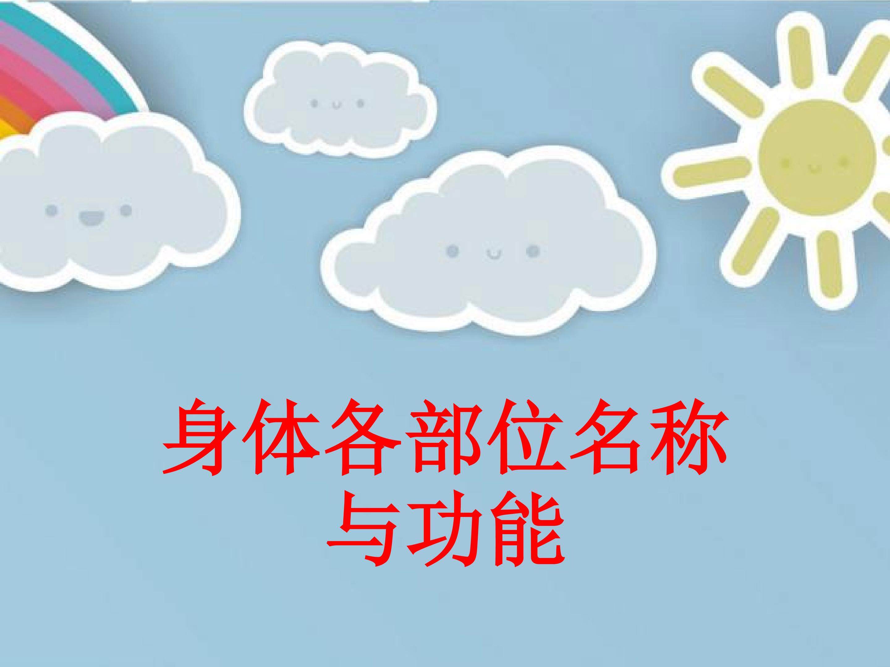 身体各部位名称