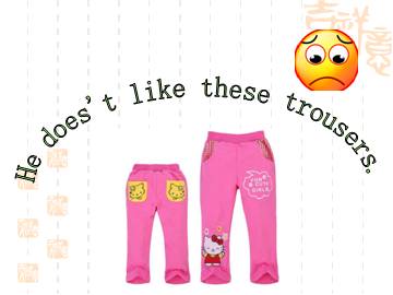 He doesn't like these trousers._课件1