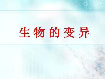 生物的变异_课件1