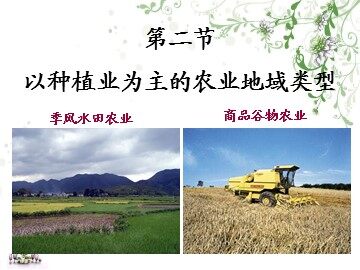 第二节 以种植业为主的农业地域类型