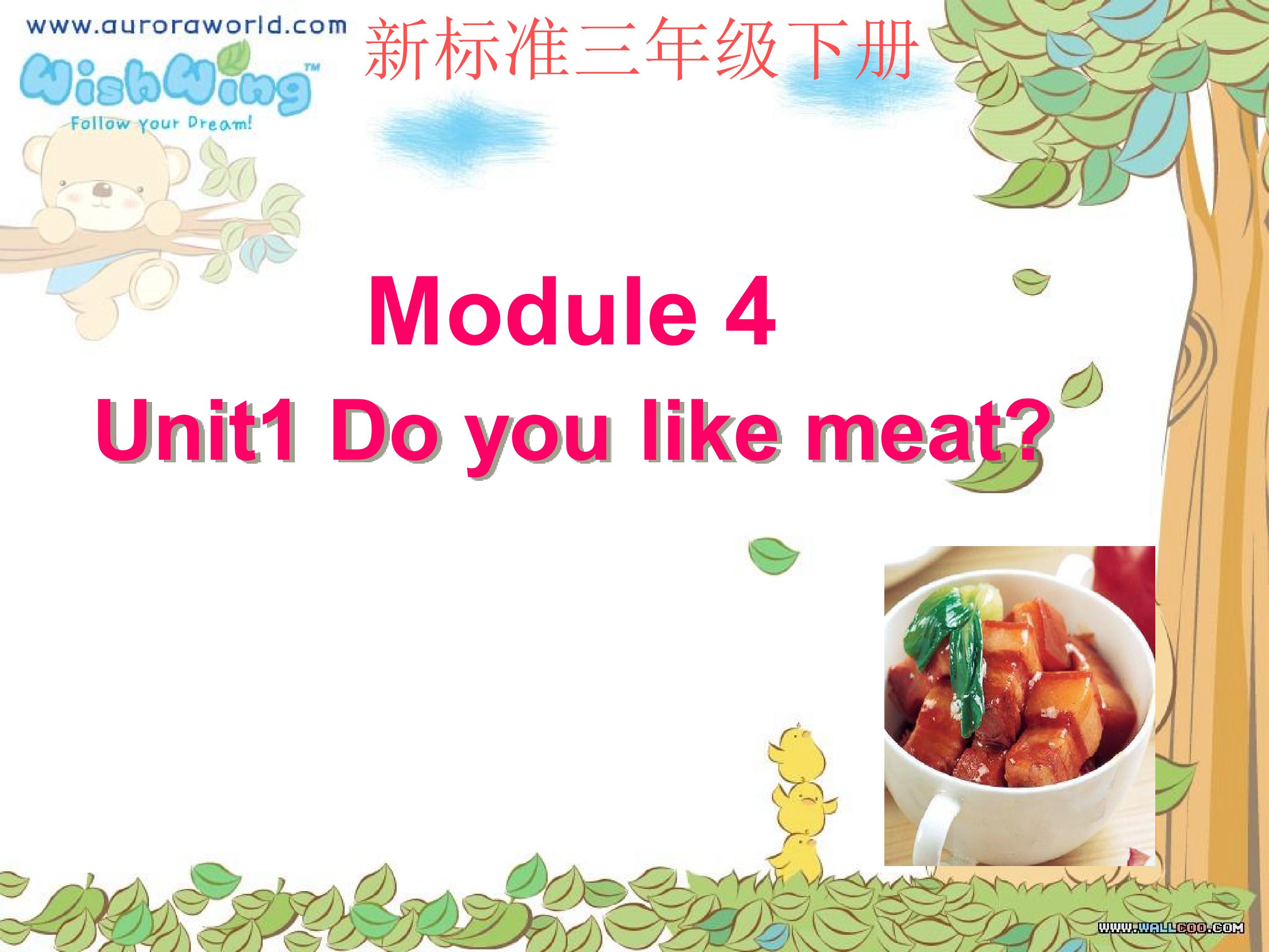 Module4Unit1 Do you like meat?