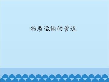 物质运输的管道_课件1