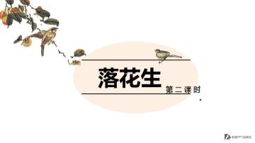 15 落花生