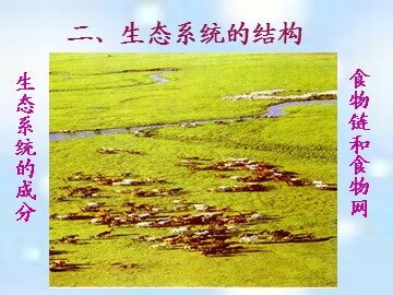 生物高中必修3第五章第一节课件9