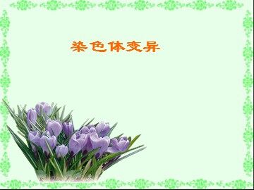第2节  染色体变异