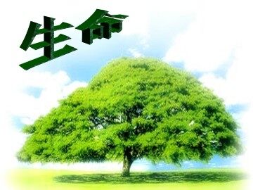 生命_课件1