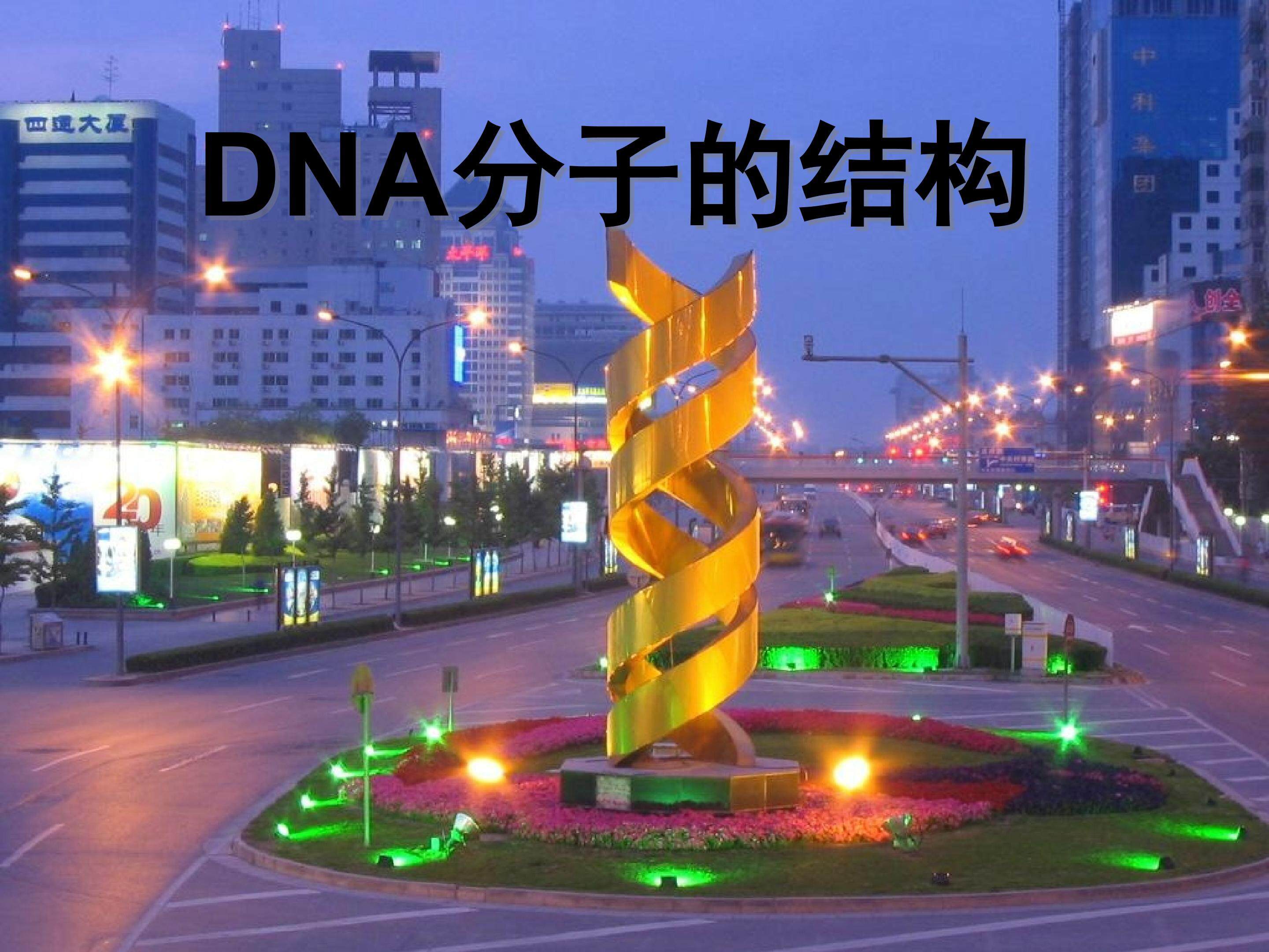 DNA结构