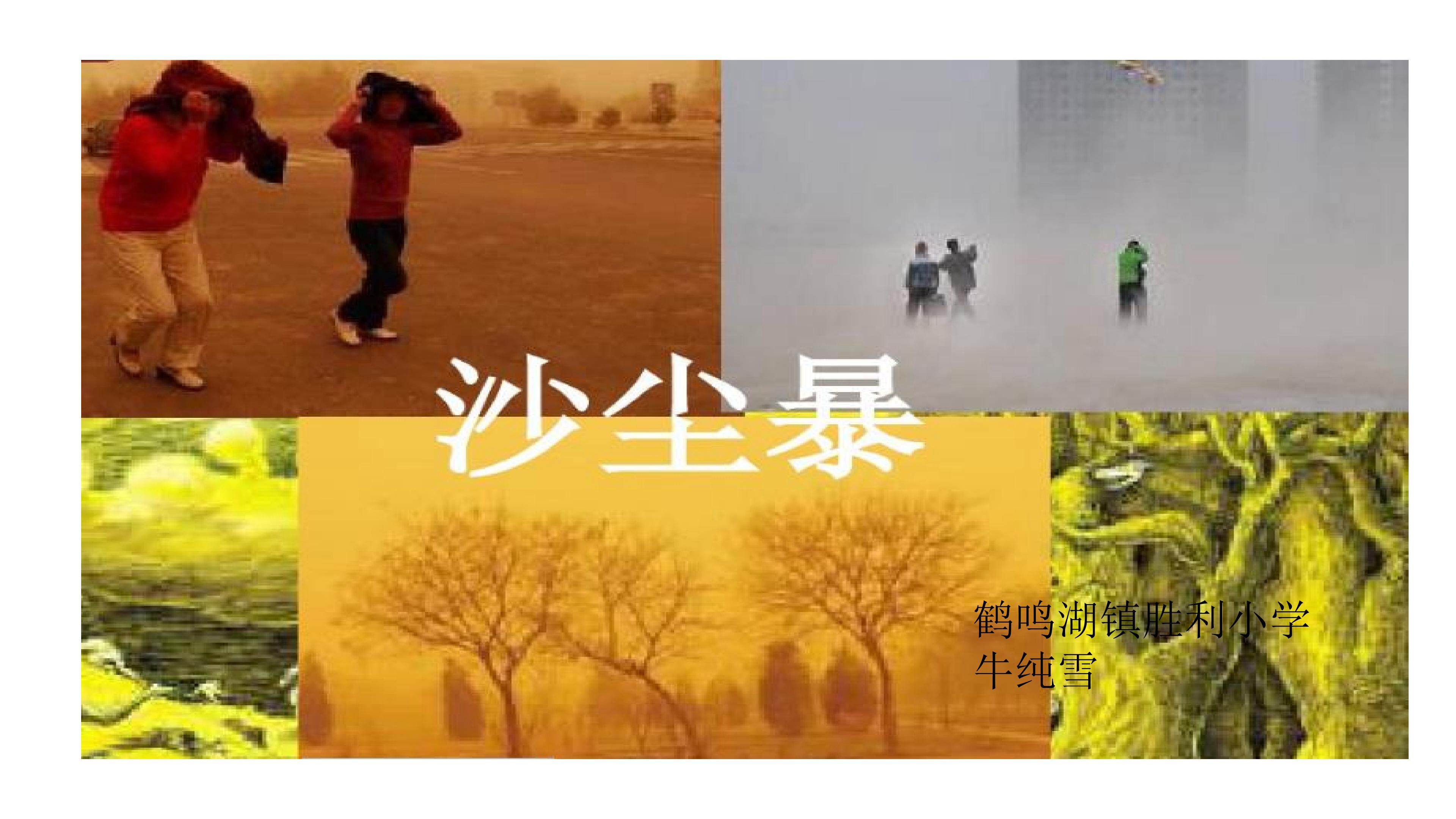 《沙尘暴》