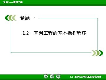 拓展视野　历史不能忘记中国对PCR的贡献