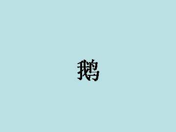 鹅_课件1