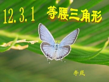 人教八年级13.3.1等腰三角形课件