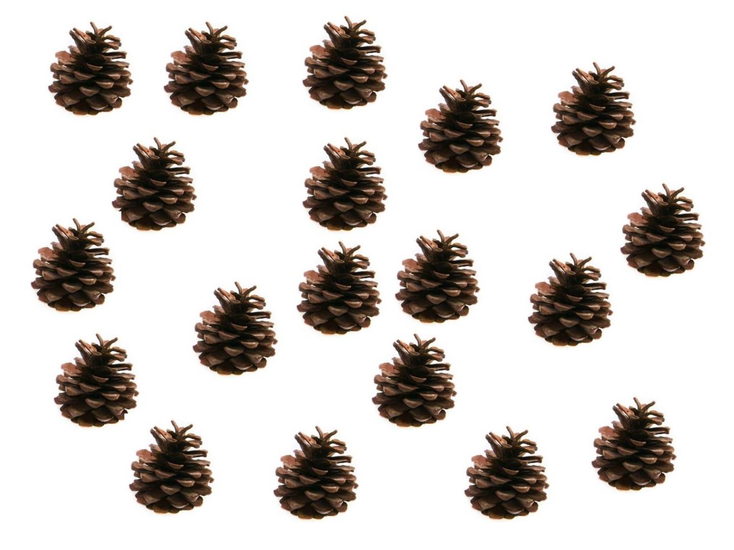 24.jpg