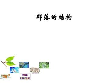 群落的结构_课件1