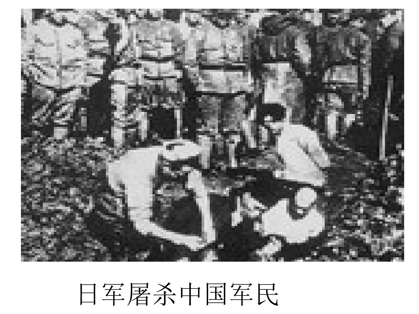 28.jpg