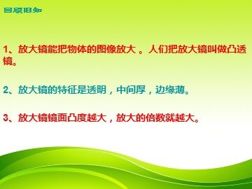 《放大镜下的昆虫世界》课件2
