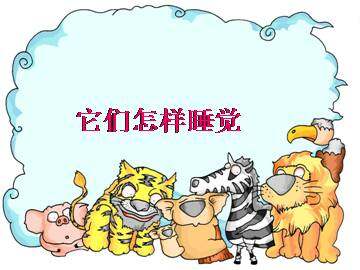 它们怎样睡觉_课件1